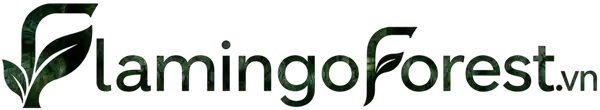 Flamingo Forest City